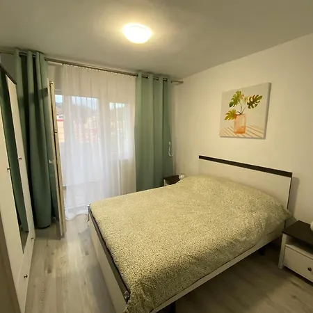 Apartment Casuta Nataliei *