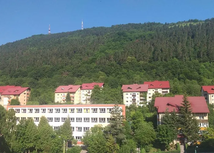 Appartamento Casuta Nataliei *